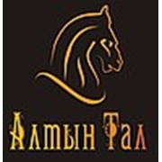 Логотип компании Производственно-торговая компания “АлтынТал“ (Казань)