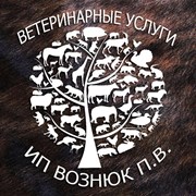 Логотип компании Вознюк Павел Валерьевич (Борисов)