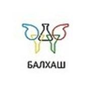 Логотип компании ТОО «Балхаш» (Алматы)