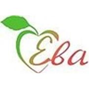 Логотип компании Агентство недвижимости «ЕВА. ДОМ» (Челябинск)