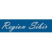 Логотип компании ООО «Регион Сибирь» (Томск)