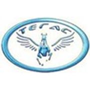 Логотип компании Тегас Электрик, ООО (Краснодар)