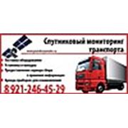 Логотип компании МонСпутник (Архангельск)