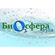 Логотип компании Интернет-Магазин «Биосфера-Тула» (Тула)