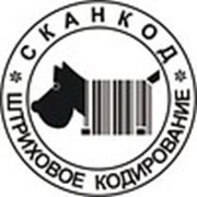 Логотип компании ООО Компания СКАНКОД (Новосибирск)