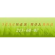 Логотип компании «Зеленая поляна» (Новосибирск)