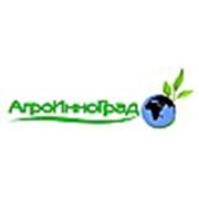 Логотип компании ООО “АгроИнноГрад“ (Можга)