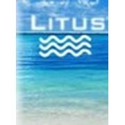 Логотип компании Litus (Одесса)