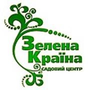 Логотип компании “Зелена країна“ (Киев)