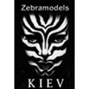 Логотип компании Модельное агентство Киева Zebra Models (Киев)