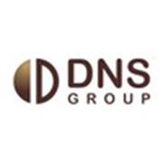 Логотип компании DNS Group (Киев)