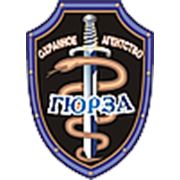 Логотип компании ООО “Охранное агентство Гюрза“ (Кривой Рог)