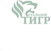 Логотип компании ТО Стальной тигр (Киев)