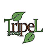 Логотип компании ООО “Трепел Груп“ (Кропивницкий)