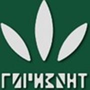 Логотип компании ООО «Горизонт» (Харьков)