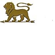 Логотип компании ООО «Лев на стреле» (Киев)