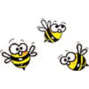 Логотип компании Шаленi Бджоли (Busy Bee) (Киев)