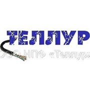 Логотип компании ООО НПФ «Теллур» (Донецк)