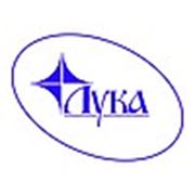 Логотип компании магазин “Сейфи“ (Львов)
