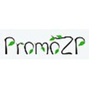 Логотип компании Promo-zp (Запорожье)