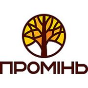 Логотип компании Клеванский лесозавод «Проминь» (Киев)