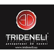 Логотип компании TRIDENELI™, ООО “Триденели“ (Киев)
