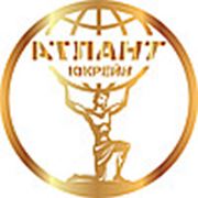 Логотип компании Атлант Юкрейн (Нетешин)
