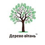 Логотип компании СПД Анина (Одесса)