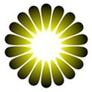 Логотип компании Кукусик (Запорожье)