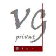 Логотип компании Victor group (Киев)