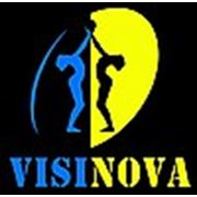 Логотип компании ООО “Визинова-Студио“ (Киев)