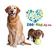 Логотип компании Интернет магазин Зоо-Лавка (Днепр)