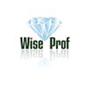 Логотип компании интернет- магазин “Wise-Prof“ (Киев)