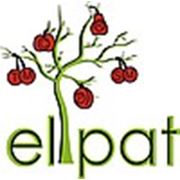 Логотип компании Патентне агентство «elpat» (Черновцы)