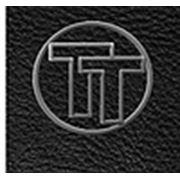 Логотип компании Территория Тюнинга (Киев)