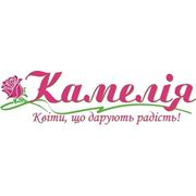 Логотип компании ООО Камелия-К (Киев)