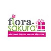 Логотип компании Интернет-магазин Флора-Сакура (Киев)