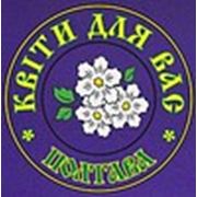 Логотип компании ФЛП Калашникова А. П. (Полтава)