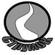 Логотип компании МЧП «Струмок» (Донецк)