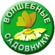 Логотип компании “Волшебные садовники“ (Днепр)