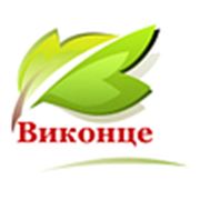 Логотип компании Виконце (Одесса)