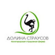Логотип компании Ясногородская страусиная ферма “Долина страусов“ (Москва)