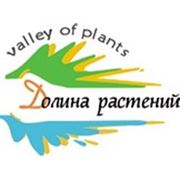 Долина Растений Интернет Магазин