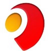 Логотип компании типография “Цвет“ (Днепр)