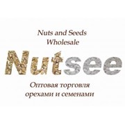 Логотип компании Натси, ООО (Ужгород)
