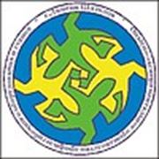 Логотип компании ИП Шаталов А. А. (Липецк)