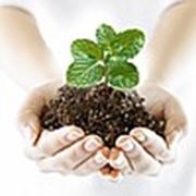 Логотип компании Cредства защиты растения “SUNDRES“ (Запорожье)