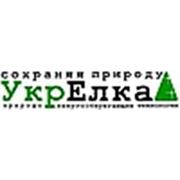 Логотип компании УкрЕлка (Киев)