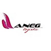 Логотип компании Транспортная компания “Анег“ (Днепр)