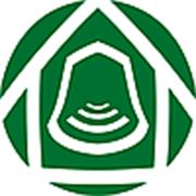 Логотип компании ООО“Компания Пик Про“ (Луганск)